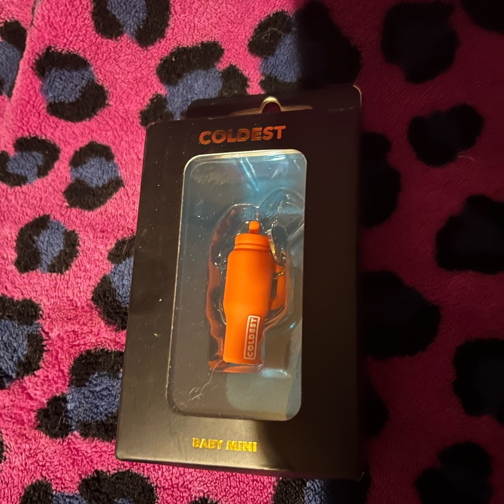 Coldest Baby Mini Keychain